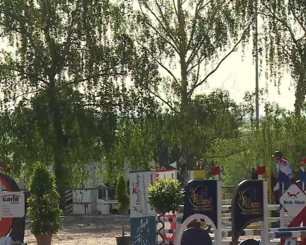 Reitturnier Landenhausen 2023