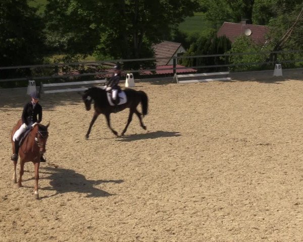 Reitturnier Iserlohn-Kalthof 2023