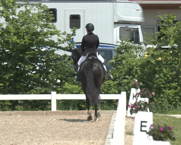 Reitturnier Kreuttal - Frey Horses 2023