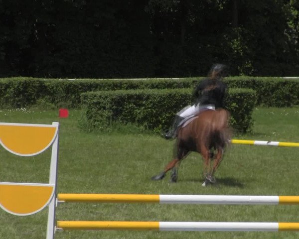 Reitturnier Westeregeln 2023