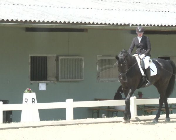 Reitturnier Kreuttal - Frey Horses 2023