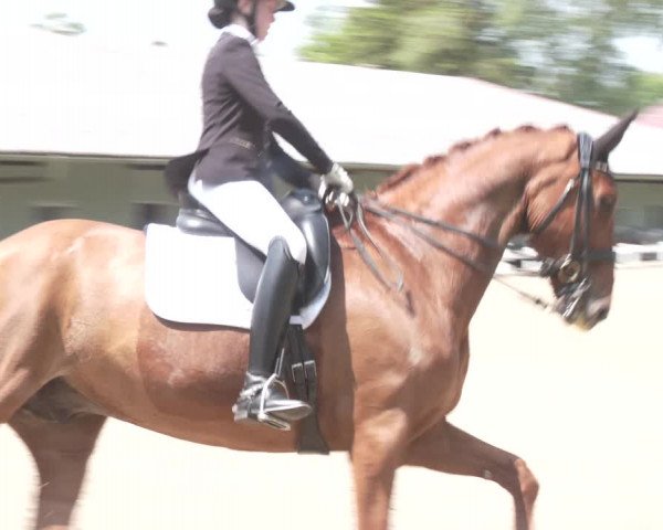 Reitturnier Kreuttal - Frey Horses 2023
