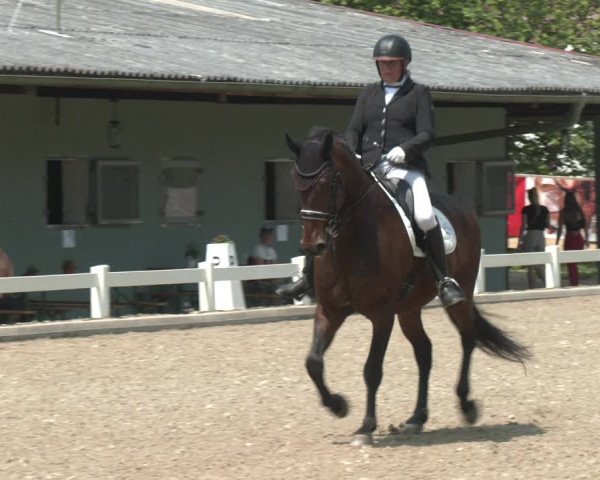 Reitturnier Kreuttal - Frey Horses 2023