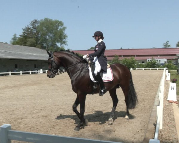 Reitturnier Kreuttal - Frey Horses 2023