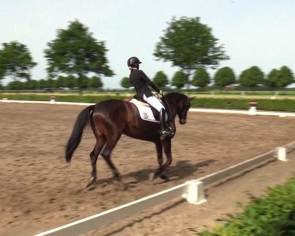 Reitturnier Seppenrade 2023