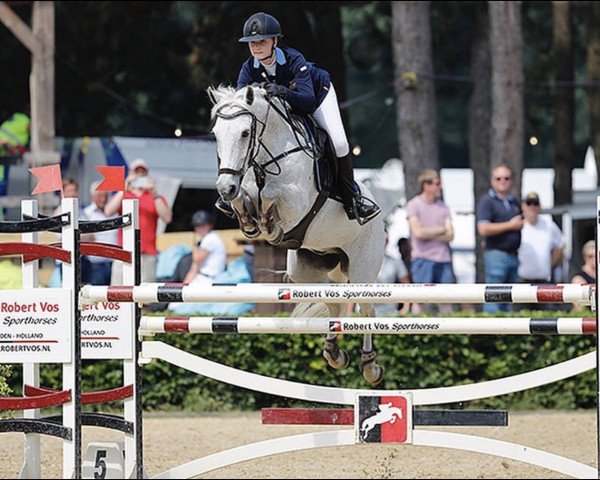jumper Tinnerath Lad (Connemara Pony, 2007, from Ashfield Romeo)