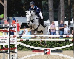 jumper Tinnerath Lad (Connemara Pony, 2007, from Ashfield Romeo)