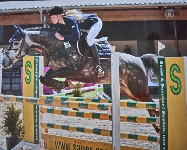 Springpferd Chiara D.H. (Westfale, 2010, von Cassini Royal) Springpferd Chiara D.H. (Westfale, 2010, von Cassini Royal)