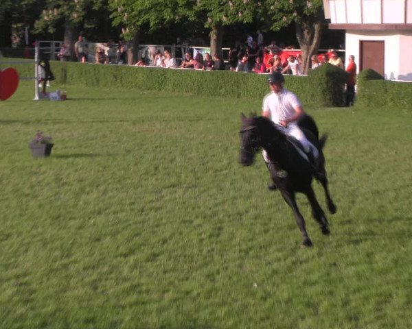 Reitturnier Westeregeln 2023