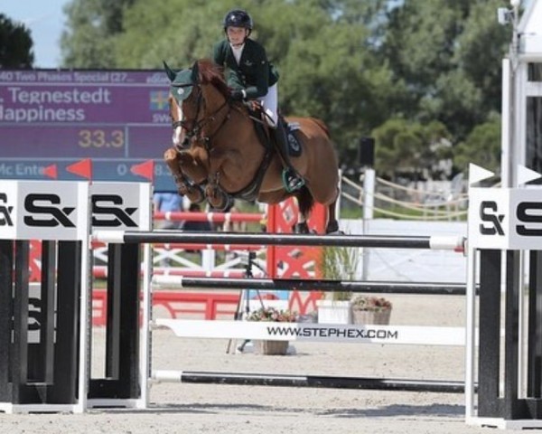 jumper Happiness (KWPN (Royal Dutch Sporthorse), 2012, from Phin Phin)