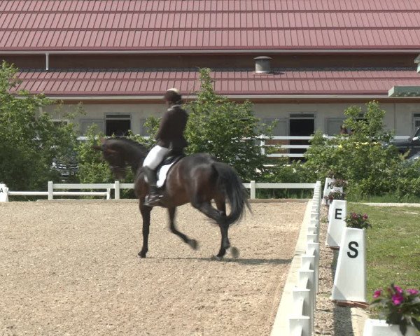 Reitturnier Kreuttal - Frey Horses 2023