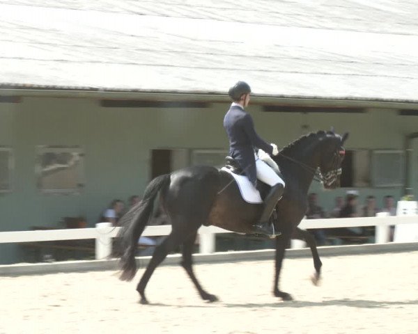 Reitturnier Kreuttal - Frey Horses 2023