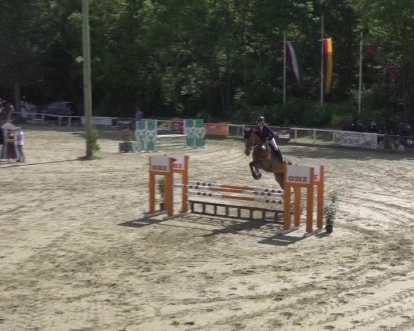 Reitturnier Siegen-Weidenau 2023
