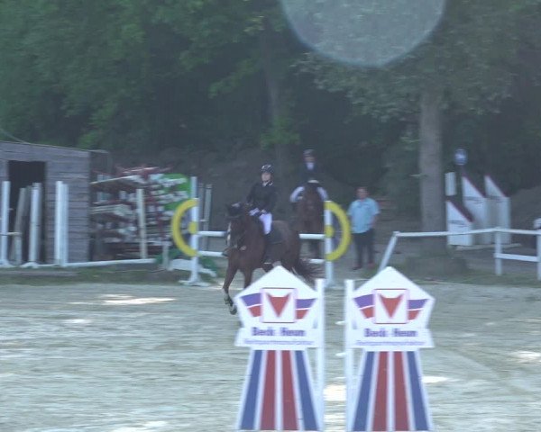 Reitturnier Siegen-Weidenau 2023