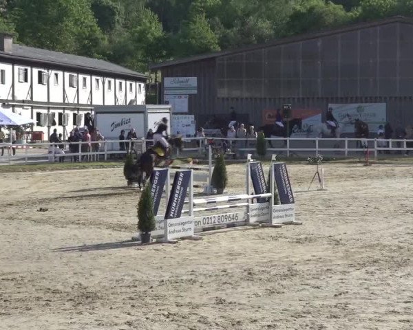 Reitturnier Siegen-Weidenau 2023