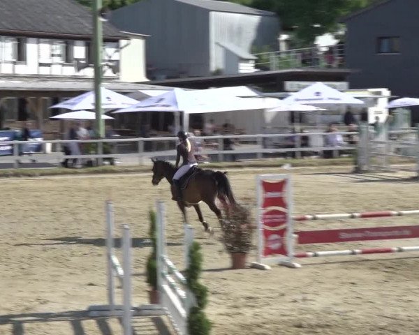 Reitturnier Siegen-Weidenau 2023
