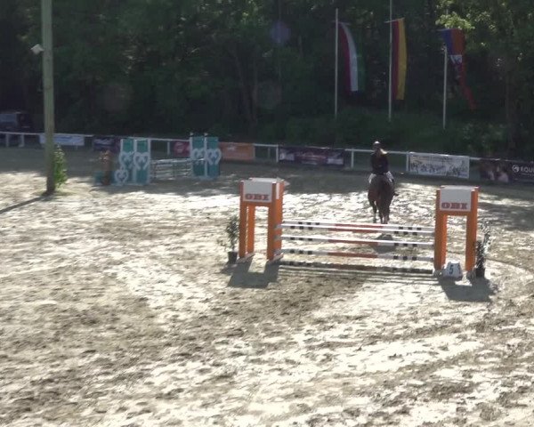 Reitturnier Siegen-Weidenau 2023