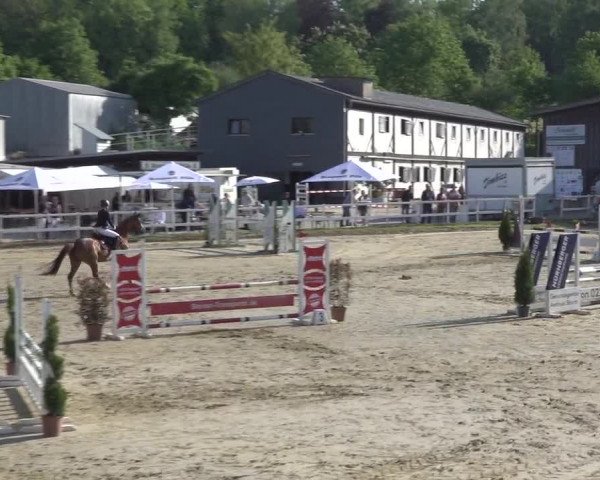 Reitturnier Siegen-Weidenau 2023