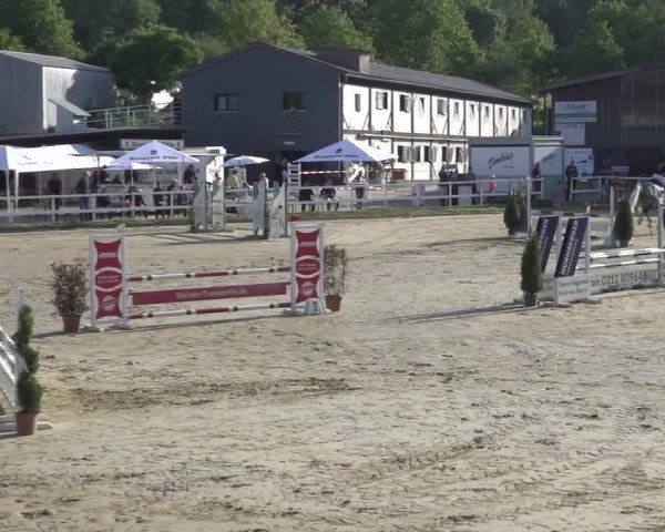 Reitturnier Siegen-Weidenau 2023