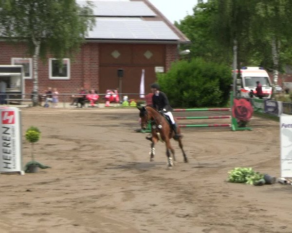 Reitturnier Seppenrade 2023
