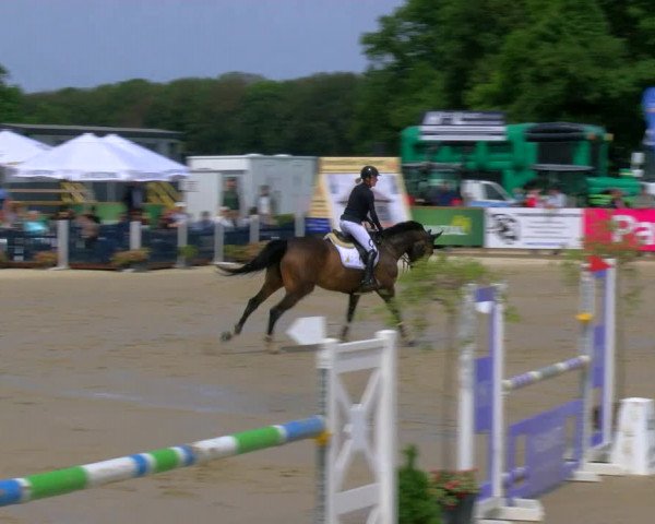 Reitturnier Borken Reitanlage Sportpferde Ehning 2023