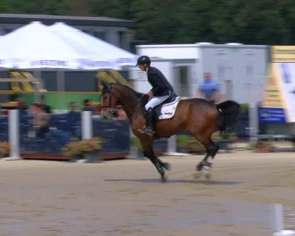 Reitturnier Borken Reitanlage Sportpferde Ehning 2023