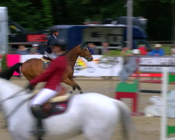 Reitturnier Borken Reitanlage Sportpferde Ehning 2023