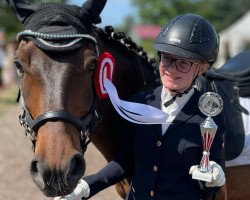 dressage horse Bounty 256 (German Riding Pony, 2011, from Batida de Coco)