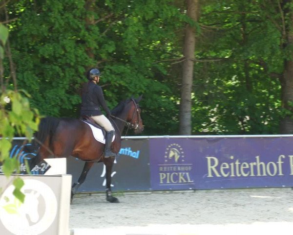Reitturnier Karlsfeld/Obb. 2023