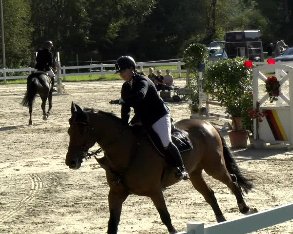 Reitturnier Isny-Rohrdorf 2021