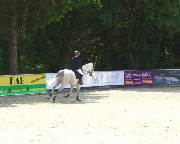 Reitturnier Karlsfeld/Obb. 2023