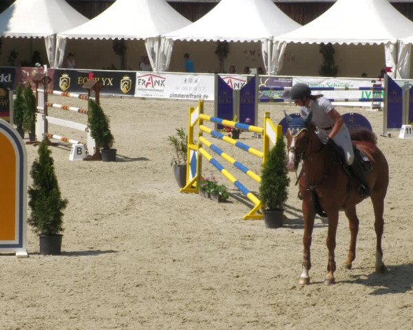 Reitturnier Karlsfeld/Obb. 2023