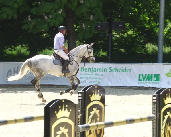 Reitturnier Karlsfeld/Obb. 2023