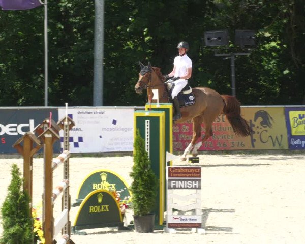 Reitturnier Karlsfeld/Obb. 2023