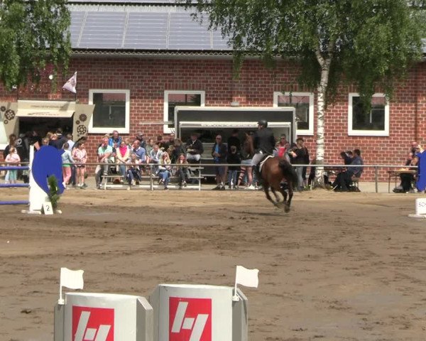 Reitturnier Seppenrade 2023