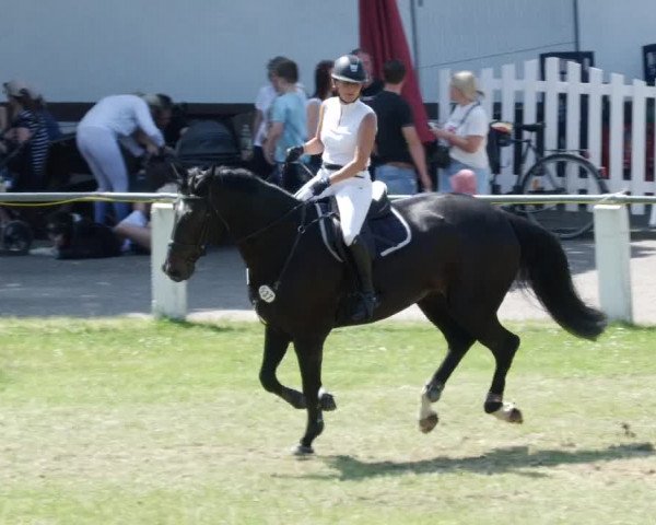 Reitturnier Forst 2023