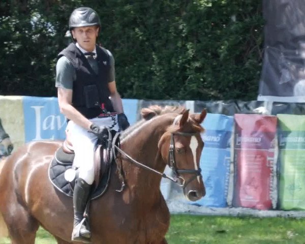 Reitturnier Forst 2023