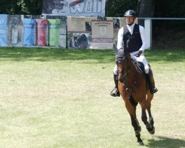 Reitturnier Forst 2023