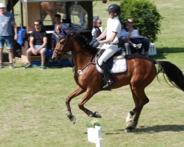 Reitturnier Forst 2023