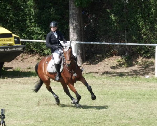 Reitturnier Forst 2023
