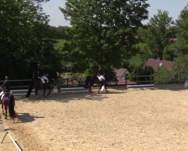 Reitturnier Iserlohn-Kalthof 2023
