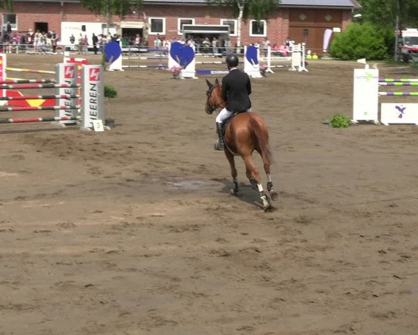 Reitturnier Seppenrade 2023