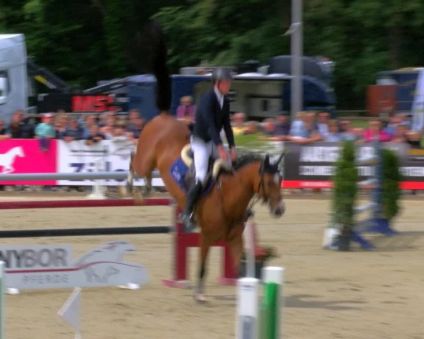 Reitturnier Borken Reitanlage Sportpferde Ehning 2023