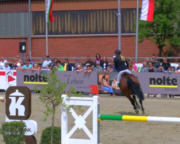 Reitturnier Borken Reitanlage Sportpferde Ehning 2023