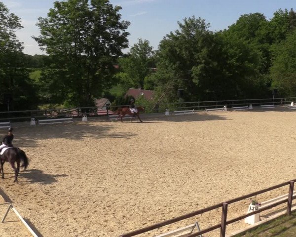 Reitturnier Iserlohn-Kalthof 2023