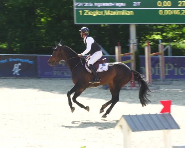 Reitturnier Karlsfeld/Obb. 2023