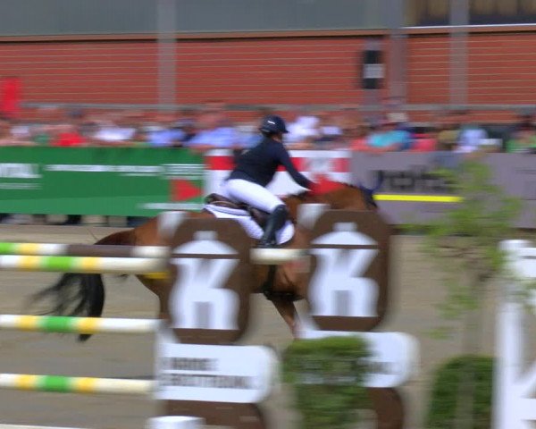 Reitturnier Borken Reitanlage Sportpferde Ehning 2023