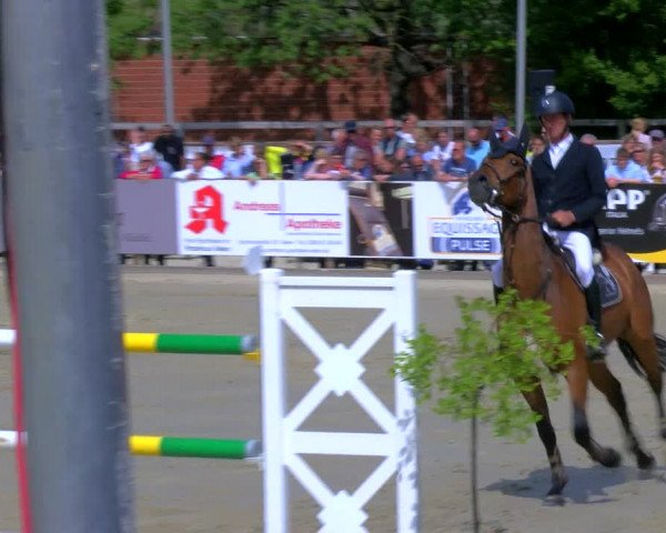 Reitturnier Borken Reitanlage Sportpferde Ehning 2023