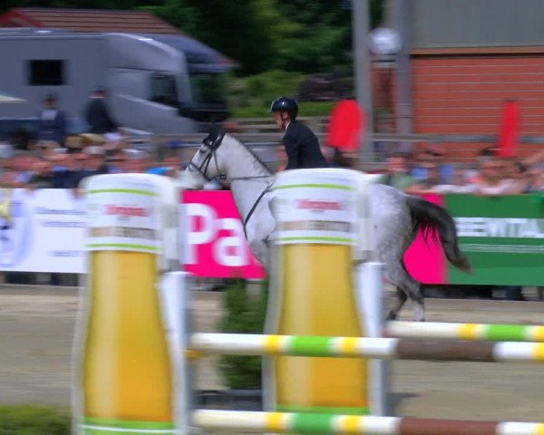Reitturnier Borken Reitanlage Sportpferde Ehning 2023