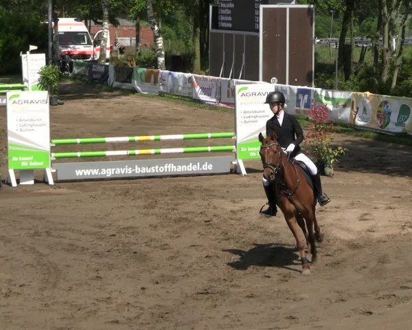 Reitturnier Seppenrade 2023